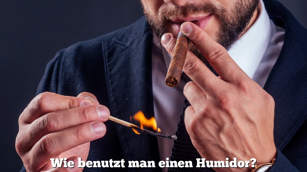 Wie benutzt man einen Humidor?