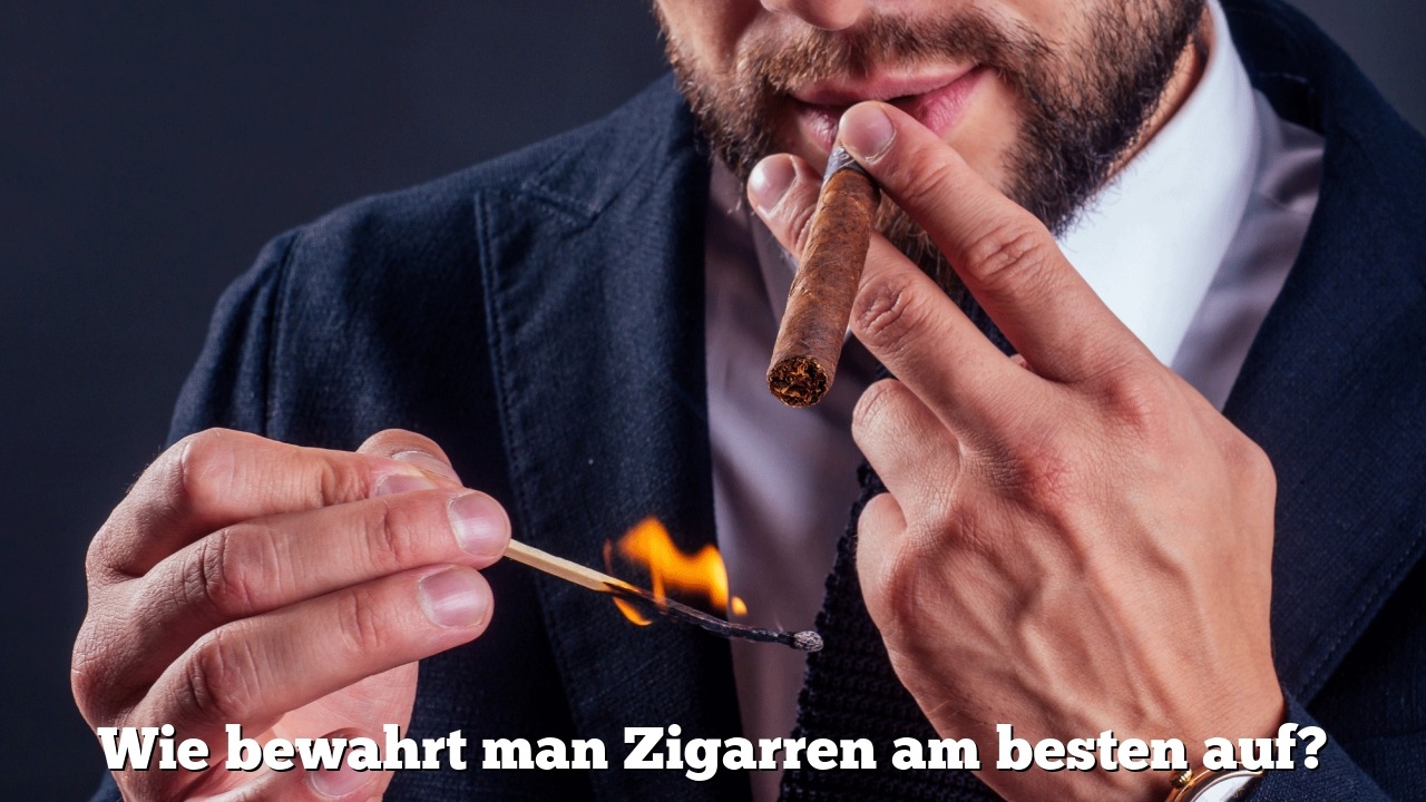 Wie bewahrt man Zigarren am besten auf?