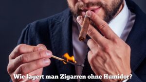 Wie lagert man Zigarren ohne Humidor?
